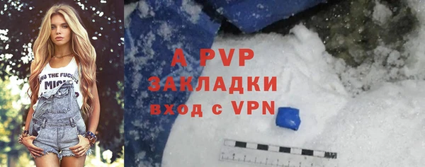 стафф Заволжье