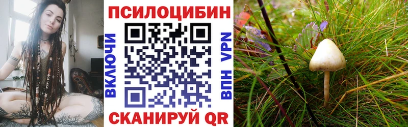 Псилоцибиновые грибы мицелий Киренск